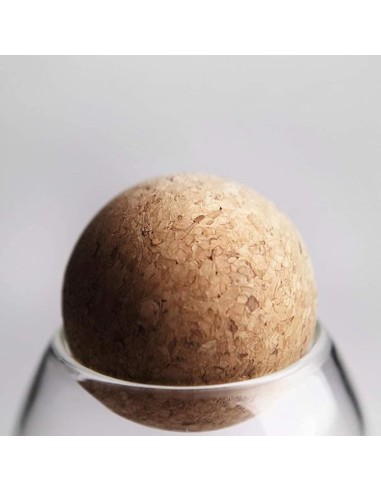 Bocal en Verre avec Bouchon Liège – 1100 ml