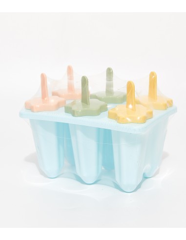 Moule à Glaces Maison – 6 Cavités