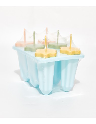 Moule à Glaces Maison – 6 Cavités