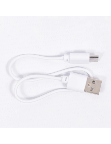 Lampe de Bureau USB Rechargeable Ours Studieux...