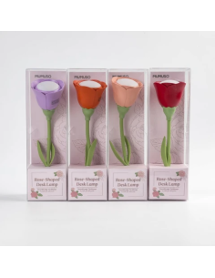 Lampe de Bureau Rose Rechargeable