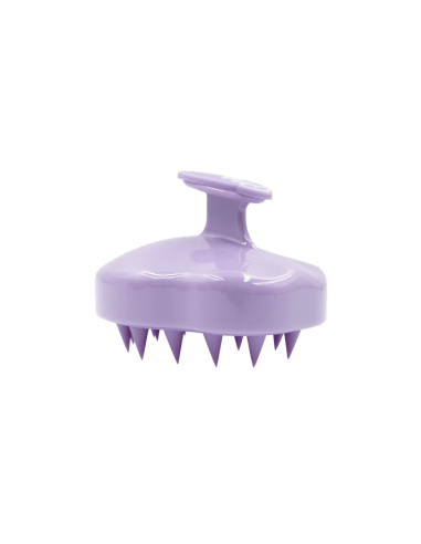 Brosse de Massage Cheveux - Violet
