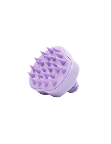 Brosse de Massage Cheveux - Violet