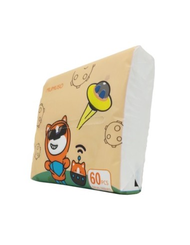 Mouchoirs en Papier Alen (60 Pièces)