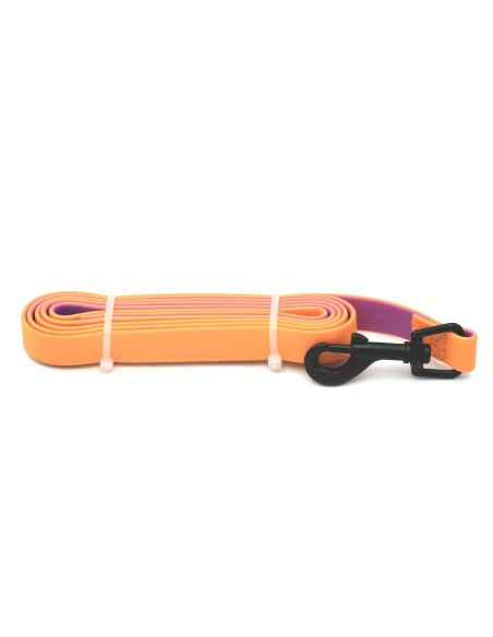 Laisse Orange Simple pour Chien