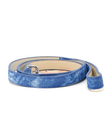 Laisse Bleue pour Chien