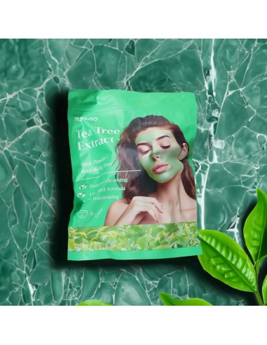 Duo Masque Poudre Purifiant à l'Huile de Tea...