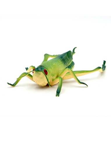 Jouet en Forme D'Insecte Réaliste de 8 Pouces