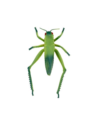 Jouet en Forme D'Insecte Réaliste de 8 Pouces