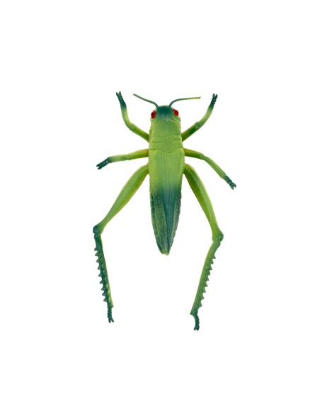 Jouet en Forme D'Insecte Réaliste de 8 Pouces