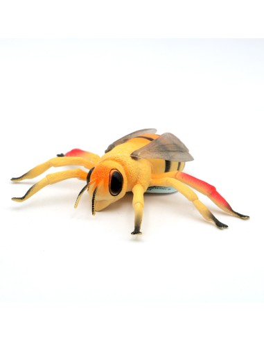 Jouet en Forme D'Insecte Réaliste de 8 Pouces