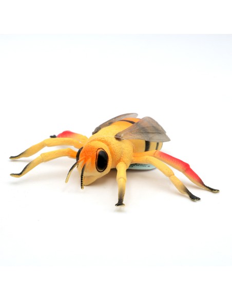 Jouet en Forme D'Insecte Réaliste de 8 Pouces