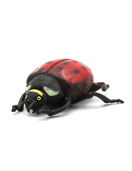 Jouet en Forme D'Insecte Réaliste de 8 Pouces
