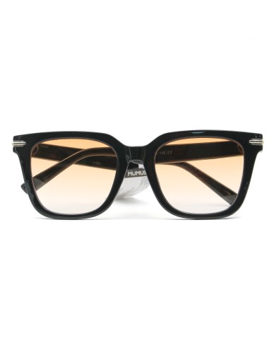 Lunettes de Soleil Carrées Simples - 753 (Monture Noire & Verres Fauve Clair)