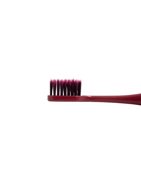 Set de 2 Brosses à Dents pour un Nettoyage en Profondeur