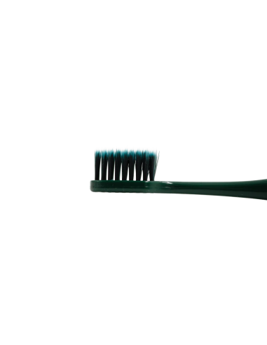 Set de 2 Brosses à Dents pour un Nettoyage en...