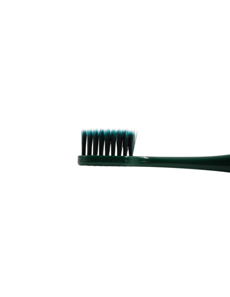 Set de 2 Brosses à Dents pour un Nettoyage en Profondeur