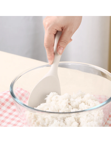 Pelle à Riz en Silicone Alimentaire