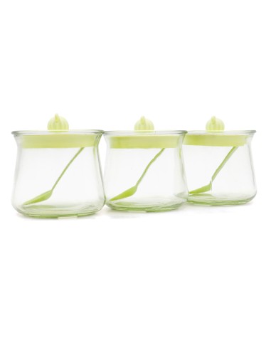 Coffret de 3 Pots à Épices Design Cactus