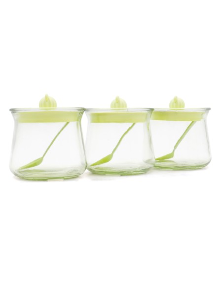 Coffret de 3 Pots à Épices Design Cactus