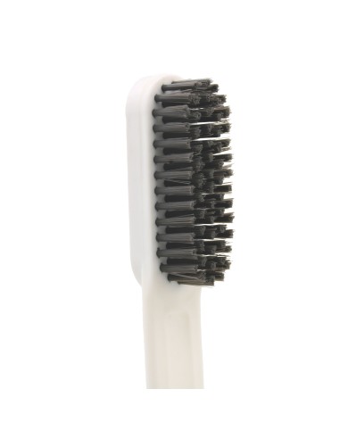 Brosse à Chaussures avec Manche