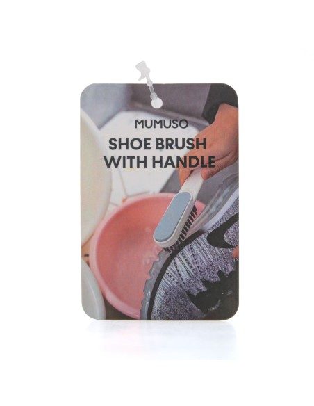 Brosse à Chaussures avec Manche