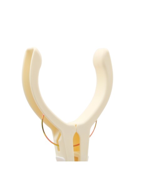 Pinces à Serviette de Plage au Design Poisson