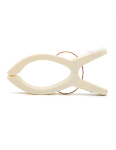 Pinces à Serviette de Plage au Design Poisson