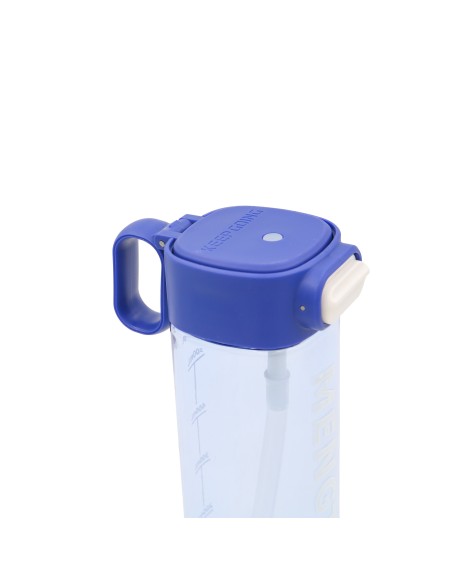 Gourde d'Eau Sport 650 ml avec Paille - Bleue