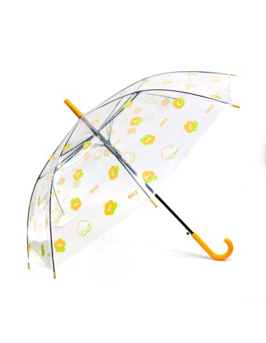 Parapluie Canne Poignée J Motifs Fleurs