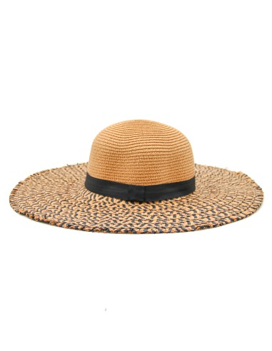 Chapeau de Paille à Large Bords Souples