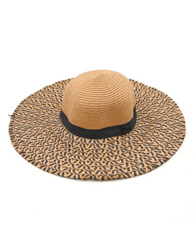 Chapeau de Paille à Large Bords Souples