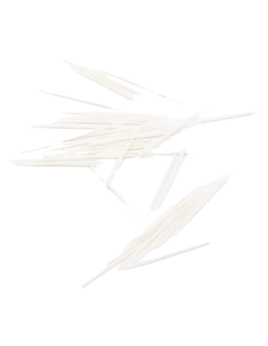 Cure-Dents Portable à Poils (60 Pièces)