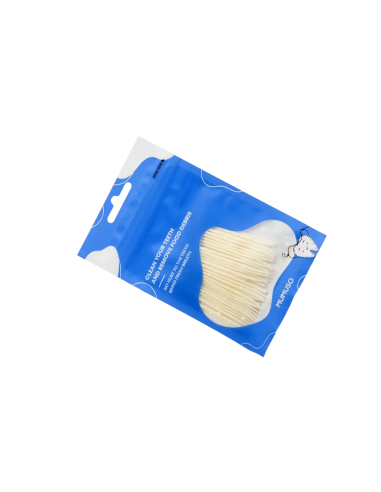 Cure-Dents Portable à Poils (60 Pièces)